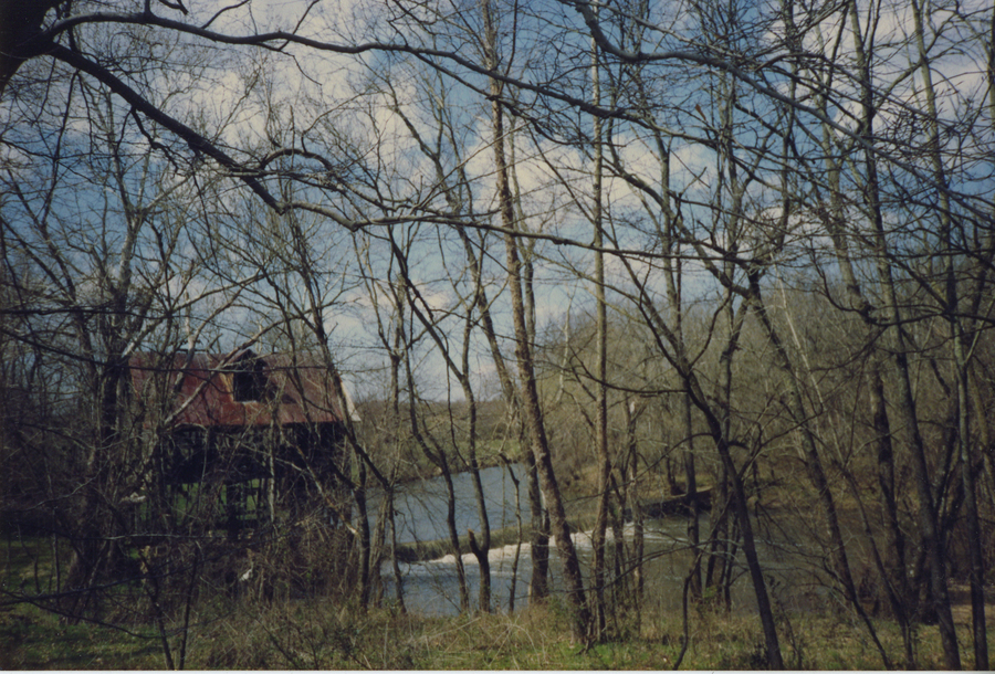 Shelton's Mill - 2009_08_097.jpg