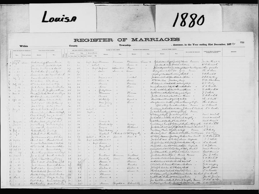 Louisa_Marriages_1880_A.jpg